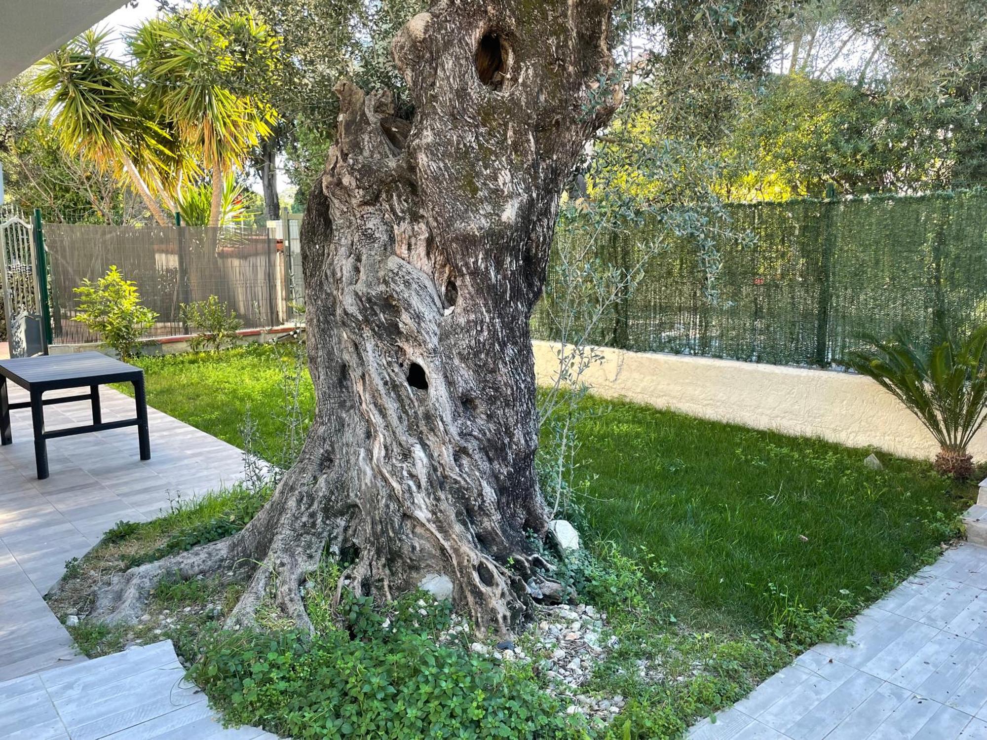 Joli Rez De Jardin 4 Pieces A Cagnes Sur Mer Exteriör bild